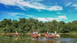 Pantanal Sul